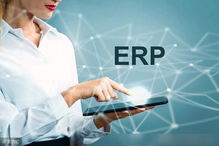 亞馬遜無貨源店群鋪貨模式跨境賣家都用什么erp采集系統,erp系統可以定制嗎
