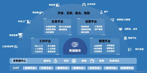 企業級bi應用與實踐2 用友erp 以nc系列產品為例