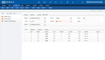 浪潮erp gs產品