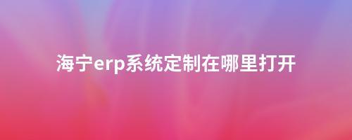 海寧erp系統(tǒng)定制在哪里打開(kāi)