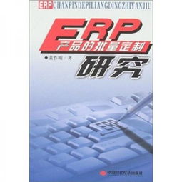 erp產品的批量定制研究