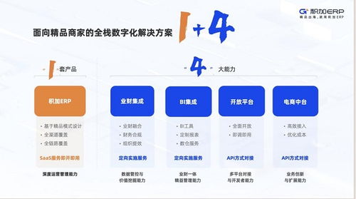 積加erp創始人張華俊 深耕精品賽道,走一條難而正確的道路